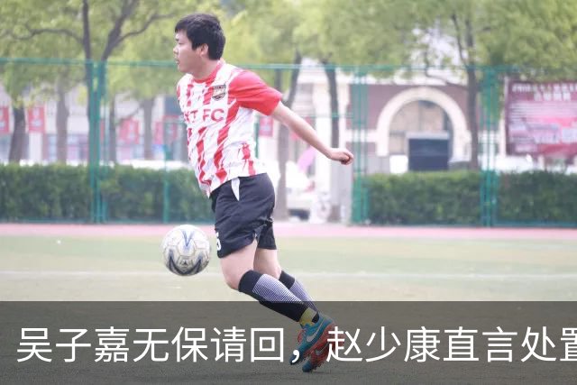 吴子嘉无保请回，赵少康直言处置太过，沈富雄发出灵魂提问。