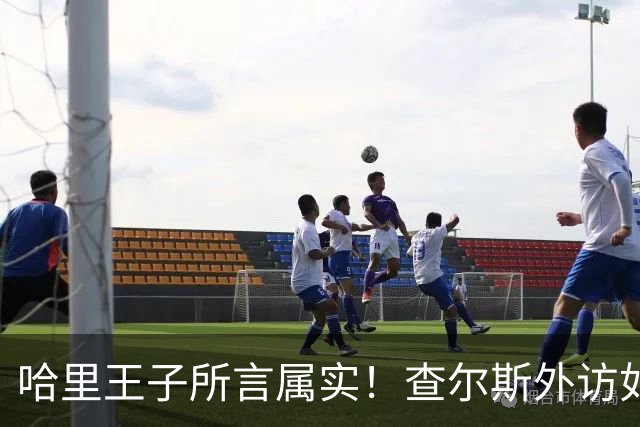 哈里王子所言属实！查尔斯外访如期进行，威廉王储继位再起变数