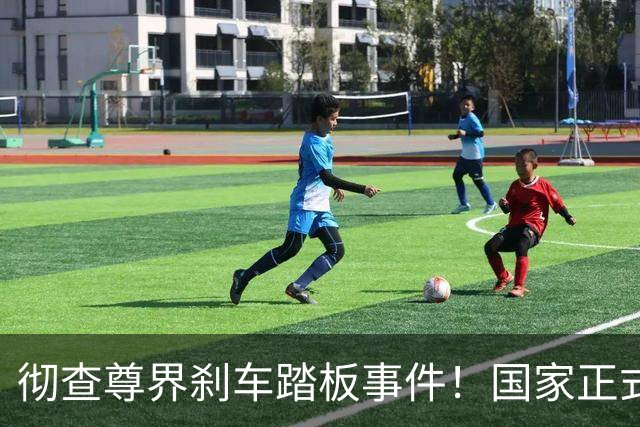 彻查尊界刹车踏板事件！国家正式下场
