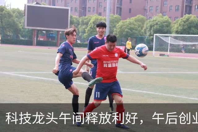 科技龙头午间释放利好，午后创业板指大举反弹，大涨超1.7%，“易中天”全部翻红