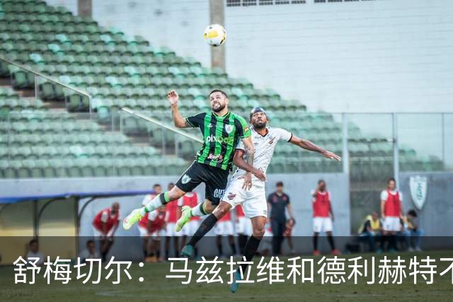 舒梅切尔：马兹拉维和德利赫特不合格，整支球队都没了血性
