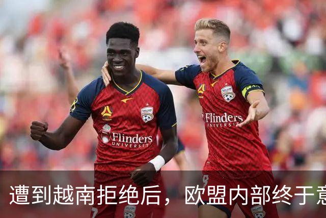 遭到越南拒绝后，欧盟内部终于意识到：什么叫 “中国力量”！