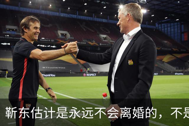 靳东估计是永远不会离婚的，不是因为他和老婆财产纠葛太多