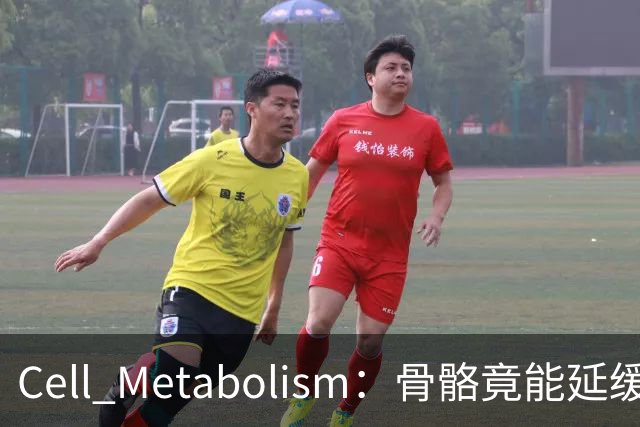Cell Metabolism：骨骼竟能延缓衰老、延长寿命！白晓春团队揭示抗衰新机制